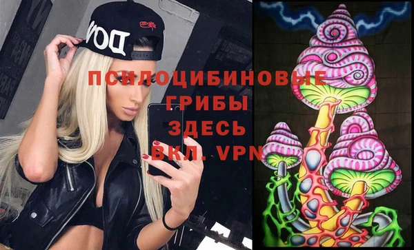 индика Нязепетровск