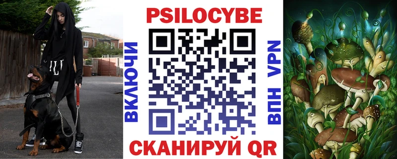 кракен онион  Жуковский  Галлюциногенные грибы GOLDEN TEACHER 