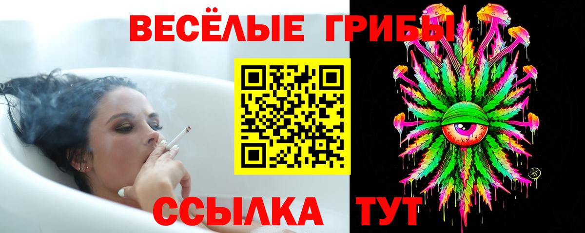 Псилоцибиновые грибы Psilocybine cubensis Жуковский